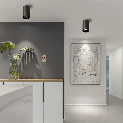 Kiki's Way | Denver Surface Downlight – Black or White, 7–18 W
