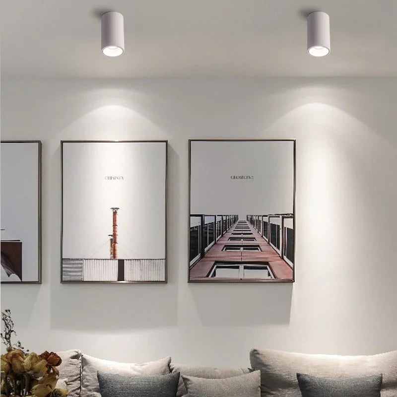 Kiki's Way | Denver Surface Downlight – Black or White, 7–18 W