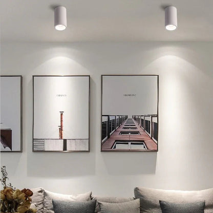 Kiki's Way | Denver Surface Downlight – Black or White, 7–18 W