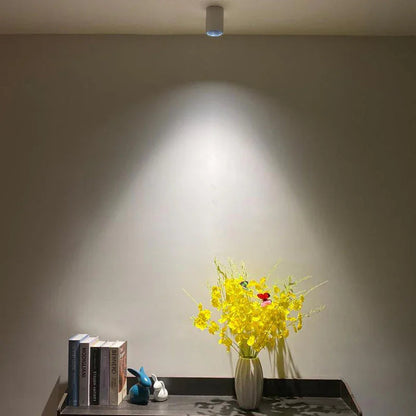 Kiki's Way | Ellis Surface Downlight – Dimmable, 7–15 W