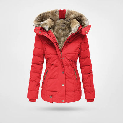 Warm and Waterproof Winter Jacket