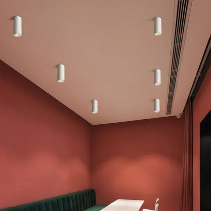 Kiki's Way | Carly Barrel Downlight – Black, Dimmable
