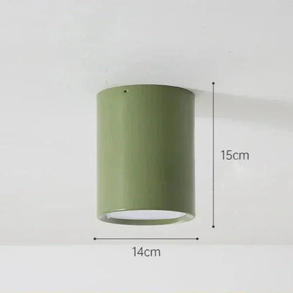 Kiki's Way | Adley Circular Ceiling Light – Wrought Iron & Acrylic