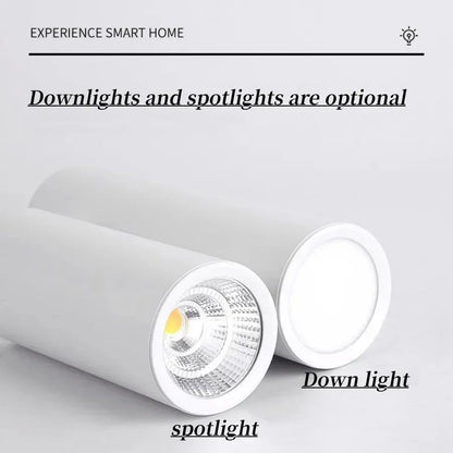 Kiki's Way | Carly Barrel Downlight – White, Dimmable