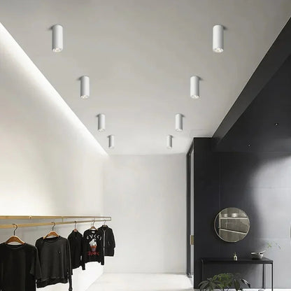 Kiki's Way | Carly Barrel Downlight – White, Dimmable