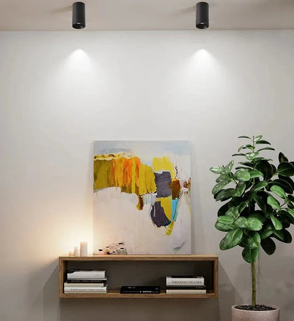 Kiki's Way | Denver Surface Downlight – Black or White, 7–18 W