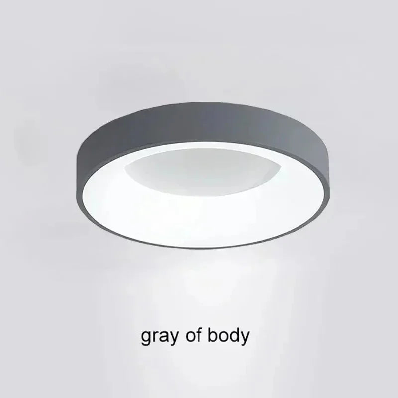 Kiki's Way | Tallulah Slim Ceiling Light – Remote Control