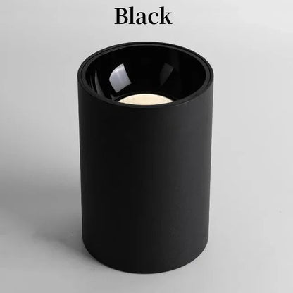 Kiki's Way | Denver Surface Downlight – Black or White, 7–18 W