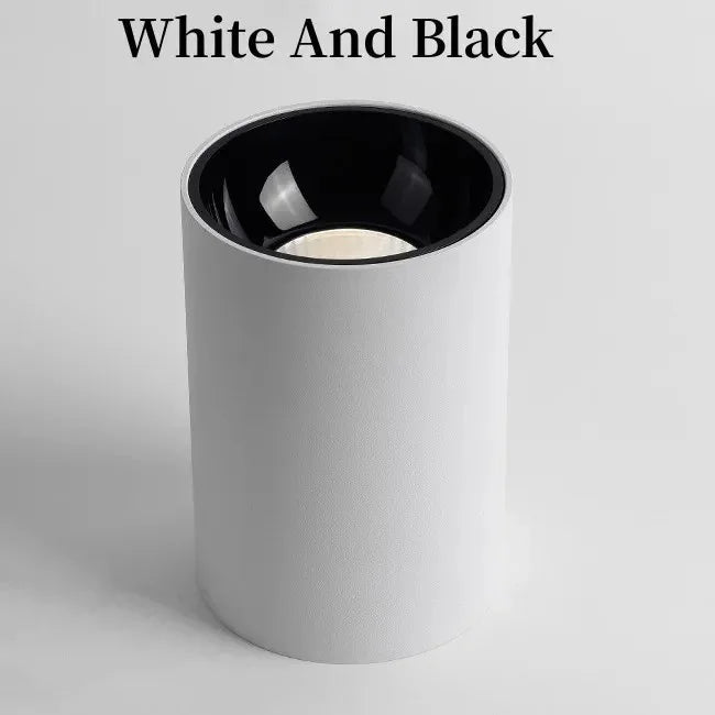 Kiki's Way | Denver Surface Downlight – Black or White, 7–18 W