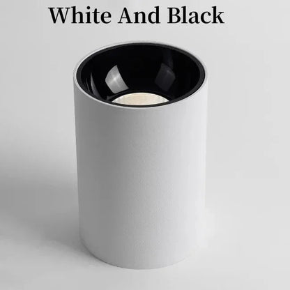 Kiki's Way | Denver Surface Downlight – Black or White, 7–18 W