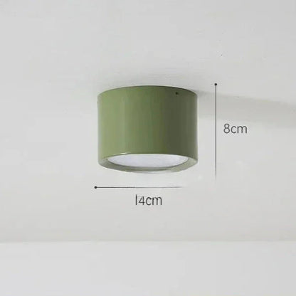 Kiki's Way | Adley Circular Ceiling Light – Wrought Iron & Acrylic